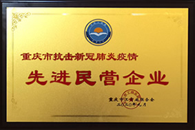 重庆市抗击新冠肺炎疫情先进民营企业