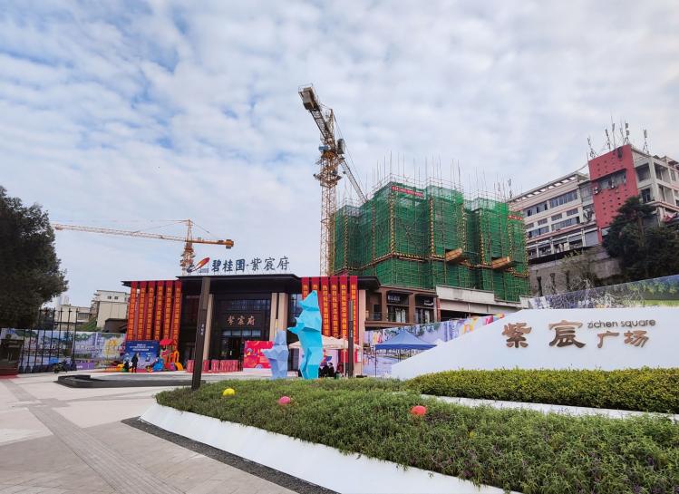 万州紫宸府项目土建安装工程
